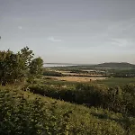 Pince A Hegyen * Szentantalfa