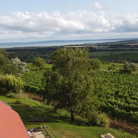 Pince A Hegyen Szentantalfa