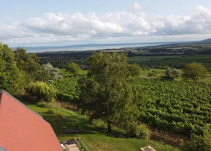 Pince A Hegyen Szentantalfa